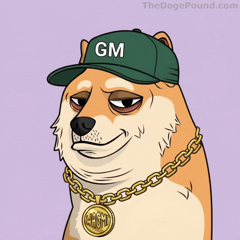 Good Morning Nod GIF by Doge Pound