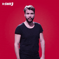 Fu Fuck You GIF by SWR3