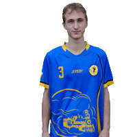 Handball Hazena Sticker by Házená Louny