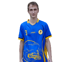 Handball Hazena Sticker by Házená Louny