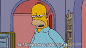 Episode 19 GIF by The Simpsons