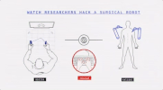 viceland GIF by Motherboard