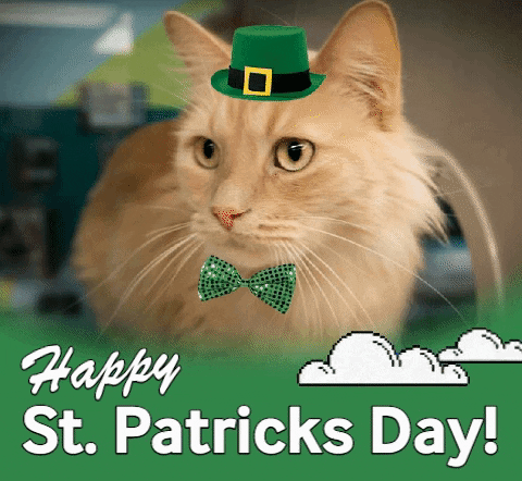 GIF by Nebraska Humane Society