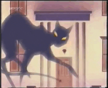 black cat GIF