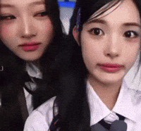 Stella GIF