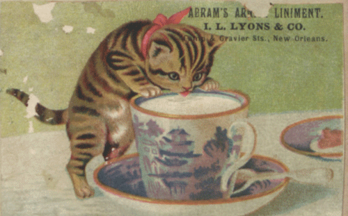 loynosca giphyupload GIF