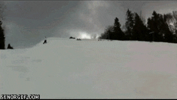 skiing win GIF by Cheezburger