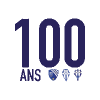 Football Rugby Sticker by villebiscarrosse