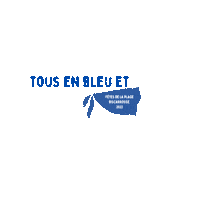 Foulard Bleu Et Blanc Sticker by villebiscarrosse