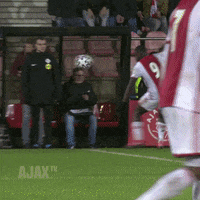Jong Ajax Brobbey GIF by AFC Ajax