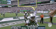 2018 nfl football GIF by NFL