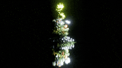 Glow Mothers Day GIF by time