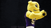 clap clapping GIF by Western Illinois University
