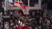 GIF by NBA
