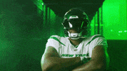 Ny Jets Football GIF by New York Jets