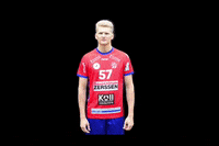 hsg-swrd-handball hsgswrd GIF