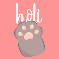 Cat Holi GIF