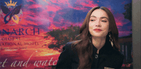 Smirk Smile GIF