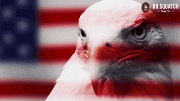4Th Of July America GIF by DrSquatch