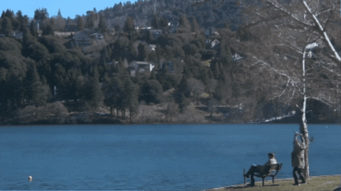 toobzee giphygifmaker horror death murder GIF