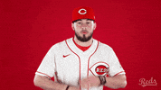 Baseball Mlb GIF by Cincinnati Reds