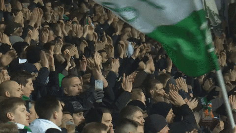 cheering GIF by SV Werder Bremen