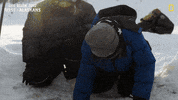 Freezing Nat Geo GIF by National Geographic Channel
