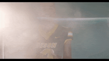 North Dakota State Bison GIF by NDSU Athletics