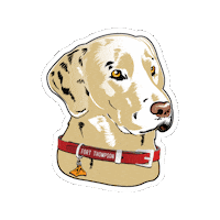 Camping Golden Retriever Sticker by fortthompson