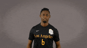 Division Ii Soccer GIF by Cal State LA Golden Eagles