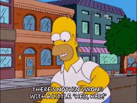 homer simpson GIF