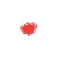 Sea Life Sticker by Everyday For Every Body