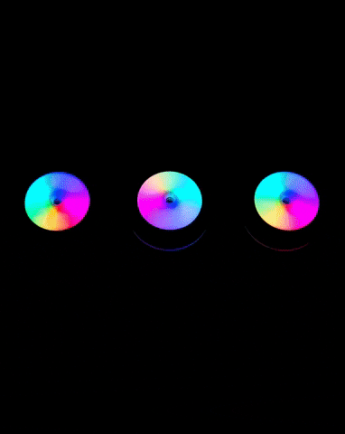 GigglBrush giphygifmaker GIF