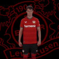 Happy Celebration GIF by Bayer 04 Leverkusen
