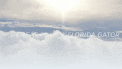 sky gator GIF by University of Florida
