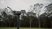 Crossbow GIF by The Traitors Australia