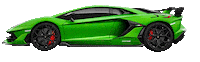 Lambo Sticker by Pandora Car Alarms