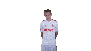 1 Fc Cologne Football Sticker by 1. FC Köln