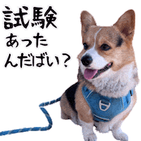 Corgi Milo Sticker
