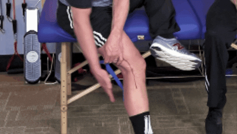 giphygifmaker GIF