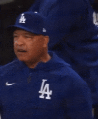 World Series Baseball GIF