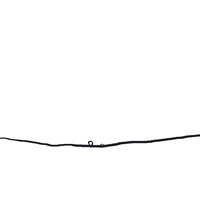 rikkipaepke plant plants grow mushroom GIF