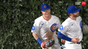 Happy Chicago Cubs GIF