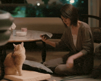 Play Chan GIF