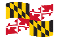 Sticker by Route One Apparel