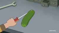 I Turned Myself Into A Pickle!