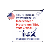 Ie Sticker by Inclusão Eficiente