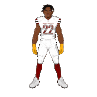 Football Nfl Sticker by Panini America