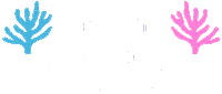 Decameron Hotels Sticker by Hoteles Decameron