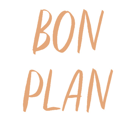 Bon Plan Sticker by Mon Carnet Voyage